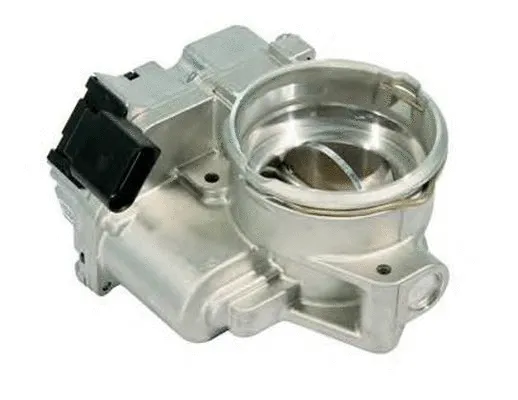 Throttle Body (ACM-070)