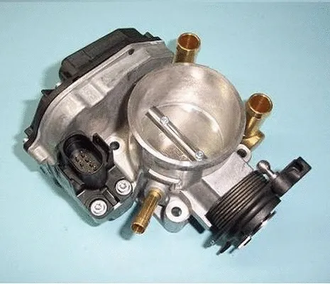 Throttle Body (ACM-006)