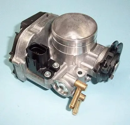 Throttle Body (ACM-004)