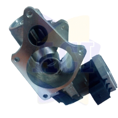 EGR Valve (AEGR-972)