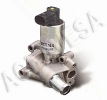 EGR Valve (AEGR-729)