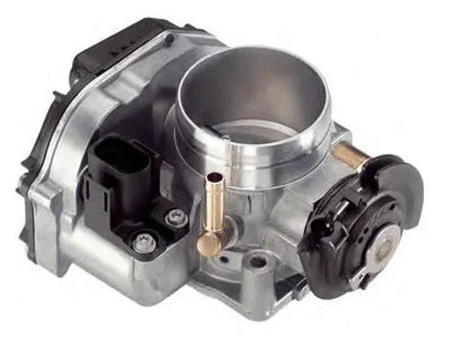 Throttle Body (ACM-087)