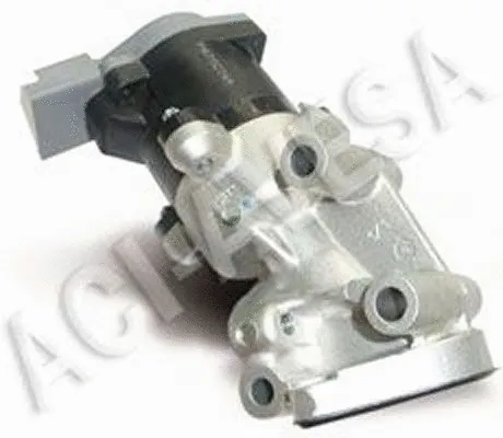 EGR Valve (AEGR-901)