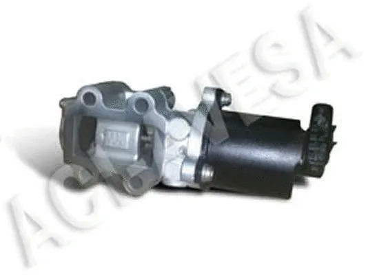 EGR Valve (AEGR-919)