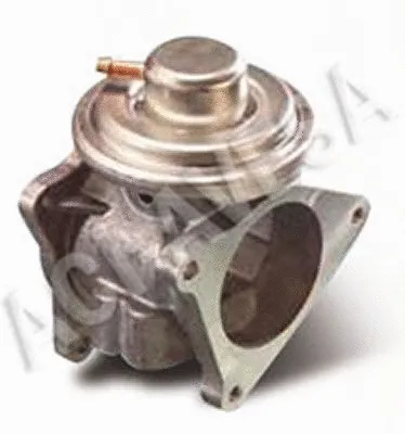 EGR Valve (AEGR-623)