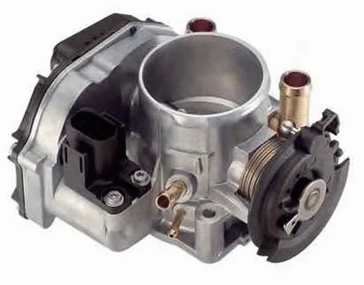 Throttle Body (ACM-011)