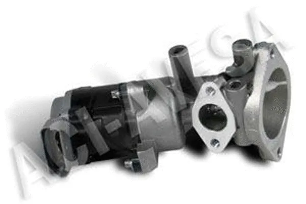 EGR Valve (AEGR-935)