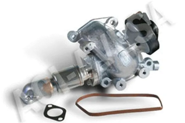 EGR Valve (AEGR-925)