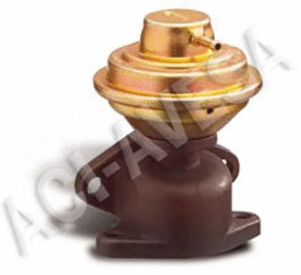 EGR Valve (AEGR-656)