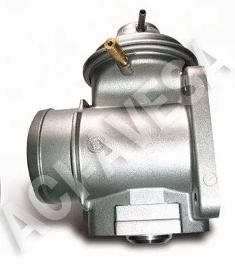 EGR Valve (AEGR-613)