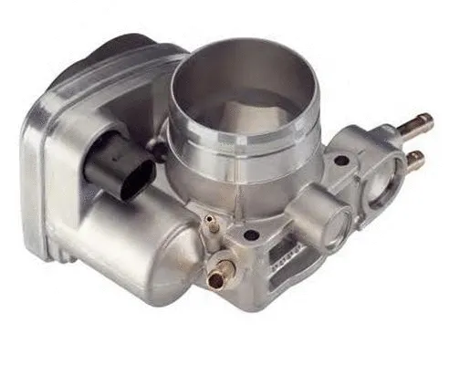 Throttle Body (ACM-029)