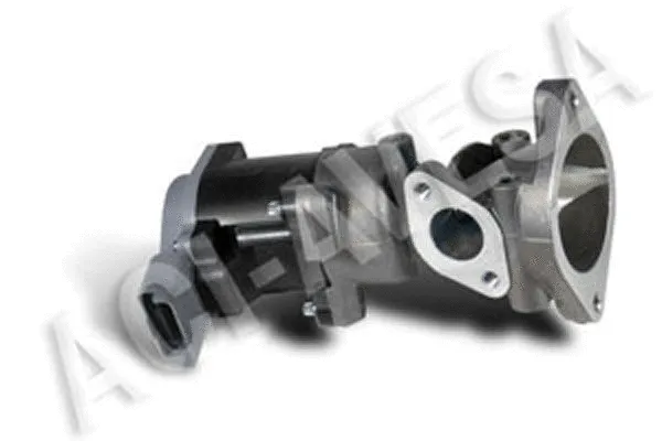 EGR Valve (AEGR-934)