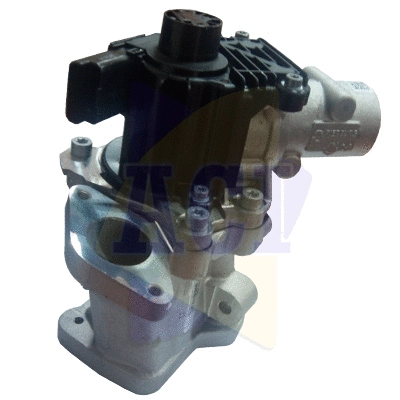 EGR Valve (AEGR-1021)