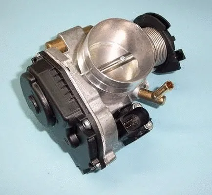 Throttle Body (ACM-001)