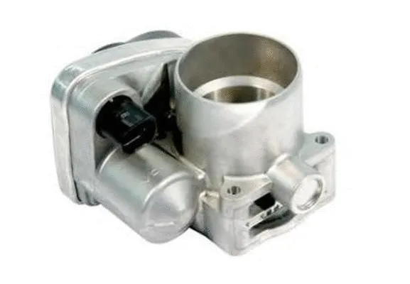 Throttle Body (ACM-049)