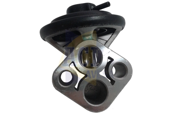 EGR Valve (AEGR-1003)