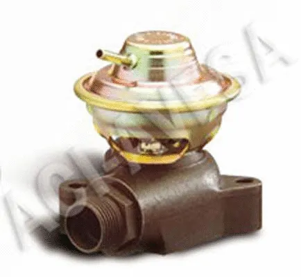 EGR Valve (AEGR-674)