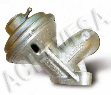 EGR Valve (AEGR-616)