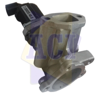 EGR Valve (AEGR-991)