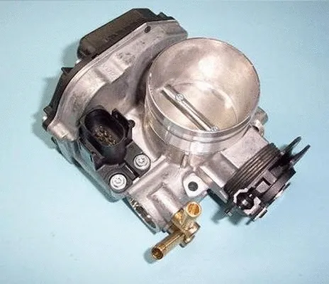 Throttle Body (ACM-005)