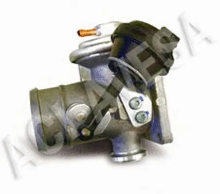 EGR Valve (AEGR-810)