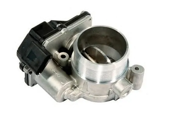 Throttle Body (ACM-069)