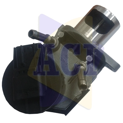 EGR Valve (AEGR-987)