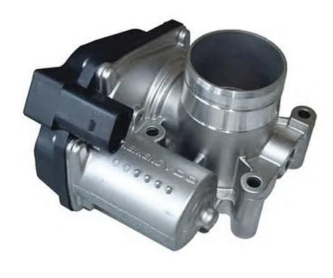 Throttle Body (ACM-061)