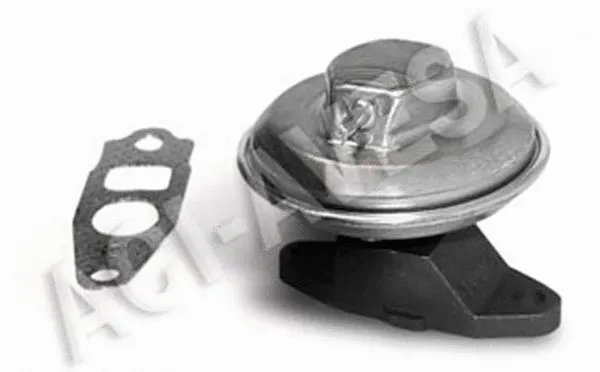 EGR Valve (AEGR-676)