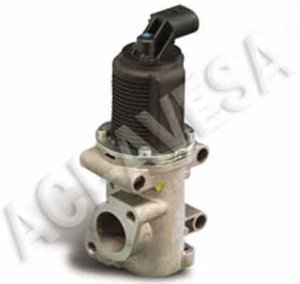 EGR Valve (AEGR-709)