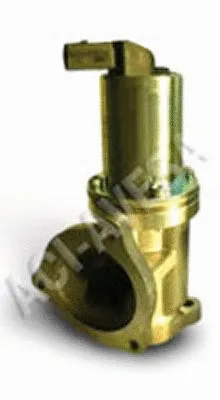 EGR Valve (AEGR-686)