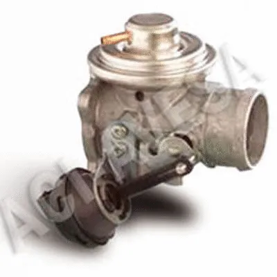 EGR Valve (AEGR-704)