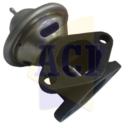 EGR Valve (AEGR-989)