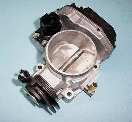 Throttle Body (ACM-010)