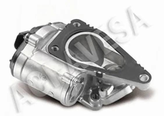 EGR Valve (AEGR-719)
