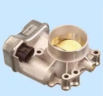 Throttle Body (ACM-045)