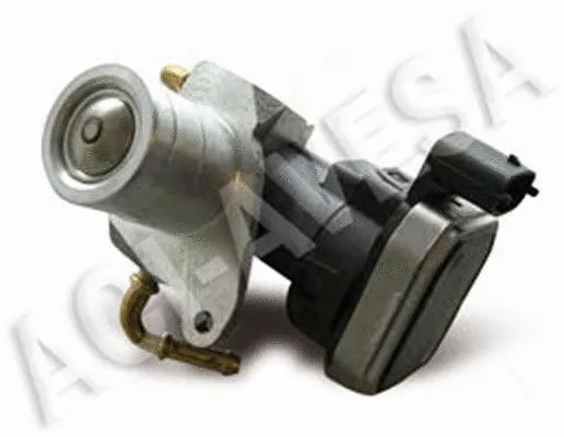 EGR Valve (AEGR-806)