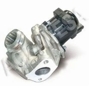 EGR Valve (AEGR-907)