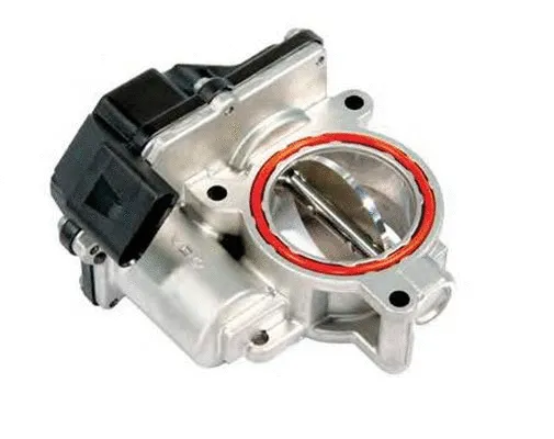 Throttle Body (ACM-071)