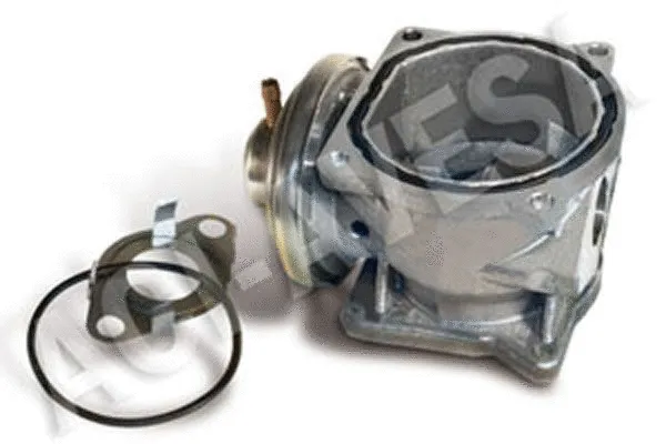 EGR Valve (AEGR-928)