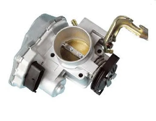 Throttle Body (ACM-055)