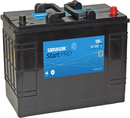 Starter Battery