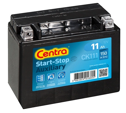 Starter Battery