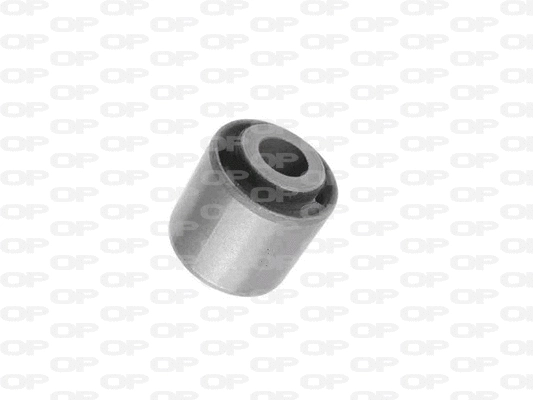 Mounting, control/trailing arm (SSS1236.11)