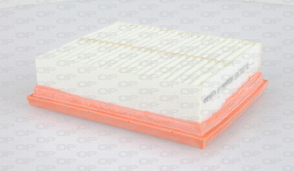 Air Filter (EAF3127.10)