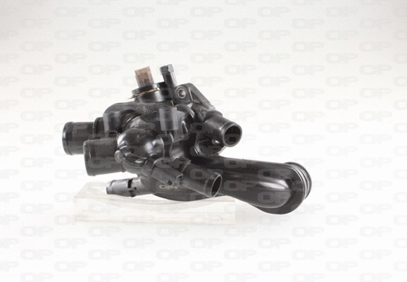 Thermostat, coolant (TRM1070.00)