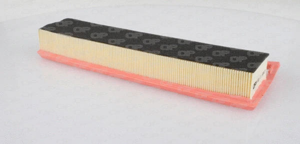 Air Filter (EAF3000.10)