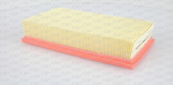Air Filter (EAF3344.10)