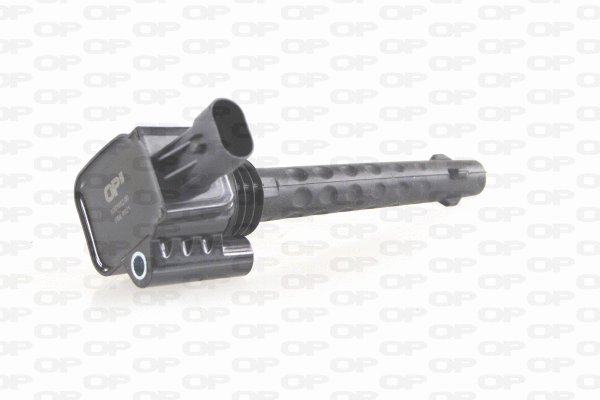 Ignition Coil (IGN1012.00)