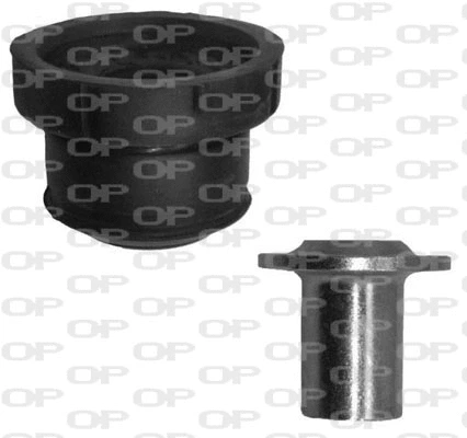 Mounting, control/trailing arm (SSS1012.11)